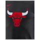 Nike Ανδρική κοντομάνικη μπλούζα NBA Chicago Bulls Essential Logo T-Shirt